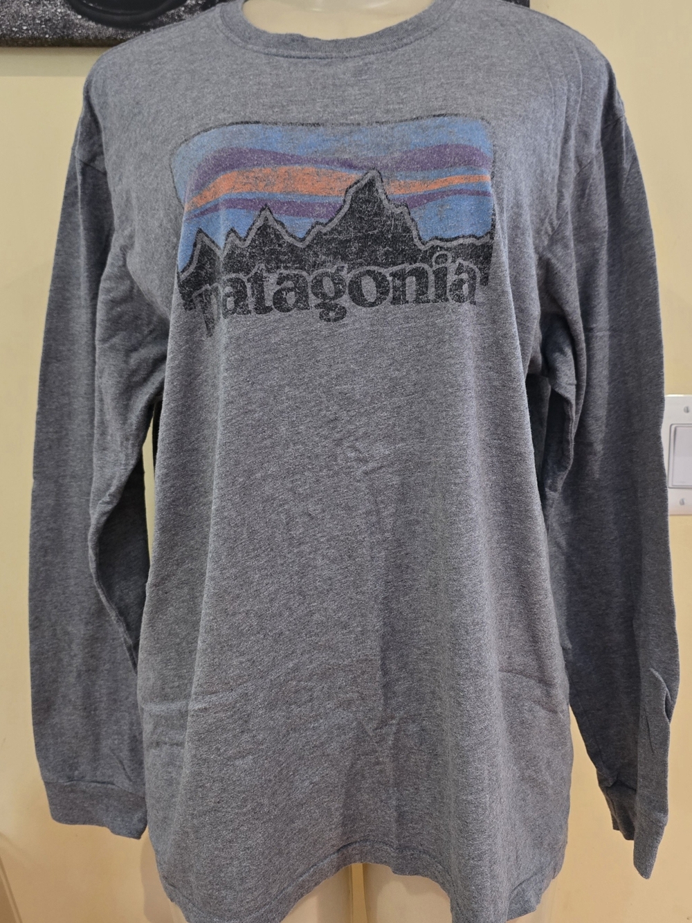 Patagonia Long-Sleeve Tee in Heather Gray with Blue and Orange Graphic